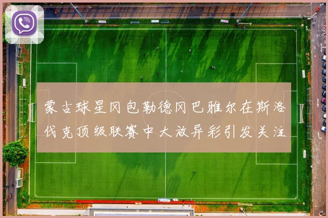蒙古球星冈包勒德冈巴雅尔在斯洛伐克顶级联赛中大放异彩引发关注